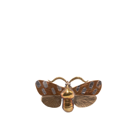 Cornelius Jakob Van Dop Moth Pin