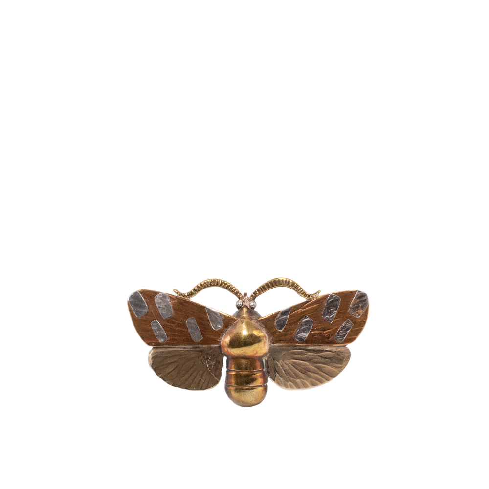 Cornelius Jakob Van Dop Moth Pin